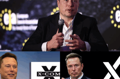 The shocking truth is out: Elon Musk has been quietly building a $44 billion website that’s influencing millions of people every single day — and almost nobody realized it. Behind the sleek design and clever features lies a hidden agenda that could reshape how we think, share, and even vote. What exactly is Musk’s site doing in the shadows, and why are experts warning it may already be too late to stop?