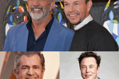Hollywood Shake-Up: Mel Gibson and Mark Wahlberg Join Forces with Elon Musk to Launch a $1–$3 Billion “Non-Woke” Film Studio Focused on Traditional Family Values — Is This the Future of Entertainment or a Cultural Flashpoint?…