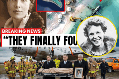 The world is shaken: Amelia Earhart’s missing plane has just been discovered after nearly a century.