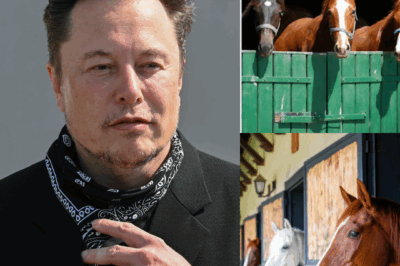 Elon Musk’s “Freedom Ranch”: A Billionaire’s Most Human Mission Yet