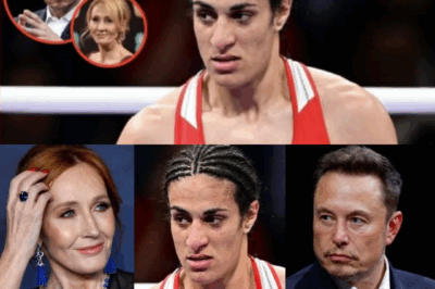 Elon Musk calls for boycott of male athletes competing