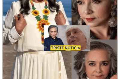 ¡Incertidumbre y alarma! El dramático accidente de Ana Martín que sacude el mundo del espectáculo