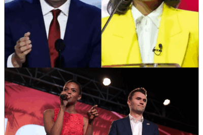 The Unfinished Confession: Charlie Kirk’s Private Diary, a Massive Financial Audit, and the Widow’s Sudden Rise Spark National Mystery