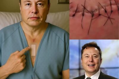 Hace 15 minutos: El regreso triunfal de Elon Musk causa conmoción en todo el mundo… BÉ CÚU