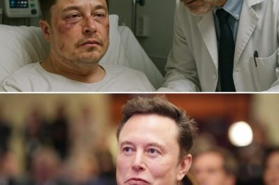 ¡Elon Musk fue atacado violentamente hace menos de 30 minutos! ¡BÉ CÚU!