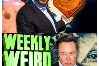 Elon Musk y la impactante verdad: un informe ultrasecreto revela los secretos ocultos tras su éxito “increíble”