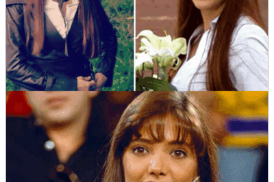 Después de más de 20 años alejada de las cámaras, Adela Noriega confiesa lo que ocultó por décadas: el motivo real de su retiro, el amor prohibido y la historia que la hizo desaparecer del mundo del espectáculo