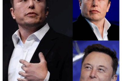 Los fanáticos se apresuran a apoyar a Elon Musk mientras ‘Los Intocables’ colapsa por primera vez.