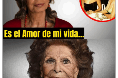 Sophia Loren, la diva eterna: a sus 91 años revela la verdad sobre su vida lejos de Hollywood 😢🔥