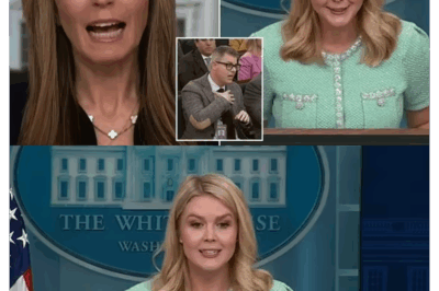 SHOCKING LIVE TV BLOWUP: Nicolle Wallace LOSES IT After Karoline Leavitt’s Blunt Comeback—The HILARIOUS Yet Terrifying Moment That Left The Audience Speechless! Is This the Breaking Point for MSNBC’s Most Explosive Host?