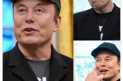 Comenzó como una simple pregunta sobre las críticas de Elon Musk a Netflix. Pero en cuanto el micrófono llegó a Kid Rock, se convirtió en algo mucho más grande.