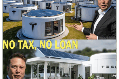 La minicasa Tesla de Elon Musk, valorada en 7.999 dólares, revolucionó internet: terrenos gratis, cero impuestos y una característica oculta que nadie vio venir. .MD