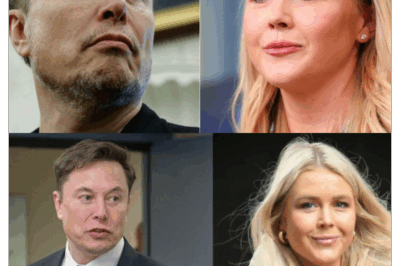 TV studio stunned as Musk fires a 7-word retort after Leavitt brands him a troublemaker