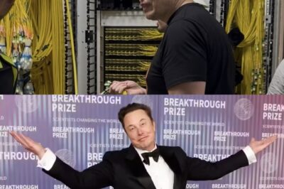 ¡EXPLOSIÓN! Elon Musk lanza Grokipedia, desafiando a Wikipedia y al mundo entero.