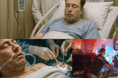 La confesión entre lágrimas de Maye Musk sobre la salud de Elon deja a los fans en shock total: “Hemos hecho todo lo que pudimos…” .MD