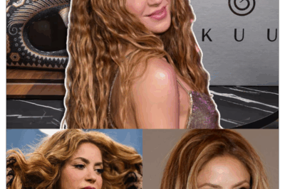 Noble: Un contrato musical valorado en 10 millones de dólares exigía una colaboración con Shakira, con condiciones totalmente favorables para ella, el mejor estudio de grabación y un equipo de primer nivel. Sin embargo, Shakira lo rechazó porque el contenido de la canción promovía la degradación de las mujeres y afectaba la igualdad de género a nivel mundial. En su lugar, apoyó y promovió un fondo educativo para mujeres en zonas de conflicto, llevando luz a vidas olvidadas.