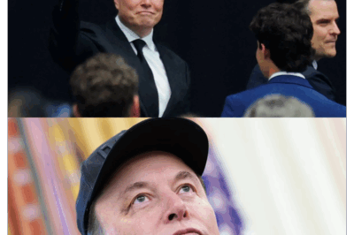 La inesperada visita silenciosa de Elon Musk a la tumba de Charlie Kirk: un momento solemne que dejó a los testigos asombrados, destacando el profundo impacto del respeto y la reflexión en un mundo de ruido y cultura de celebridades.