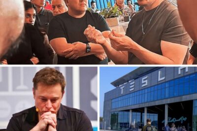 Grietas en el imperio: el incansable empuje de Elon Musk provoca un éxodo de personal sin precedentes en sus cinco empresas
