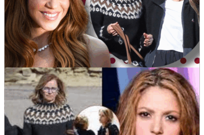 “Mamá, por favor, no te metas en nuestros asuntos. ¿Por qué tienes que estar siempre quejándote y hablando sin parar?” Piqué se mostró molesto cuando la madre de Shakira intervino en el tema de la división de bienes entre los dos. Estaba furioso porque ella había hecho públicas varias cosas, arruinando así sus planes. Una madre que solo pensaba en su hija y sus nietos ahora se ve expuesta, siendo criticada por el exesposo de su hija. Cansada de todo, ella le envió a Piqué un breve mensaje que lo dejó en estado de caos y preocupación.
