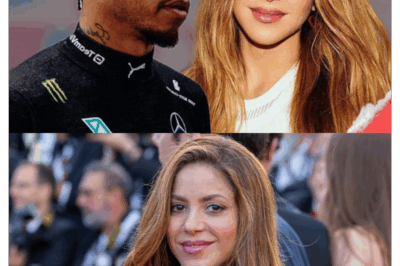 “¿Podemos volver por nuestro hijo? Sé que me equivoqué” la declaración dejó atónitos a todos los presentes en la fiesta privada de Shakira. Incrédulos, lo que él dijo sonaba como una vieja película repetida. Shakira no paraba de reír, mientras él la miraba con ojos suplicantes y una sonrisa repulsiva. La respuesta de Shakira lo hizo saltar de alegría… pero, de inmediato, se quedó helado y salió corriendo al instante.