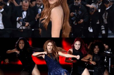 Una niña con un extraño tumor cerebral lucha cada día por su vida. Su mayor motivación es ver a Shakira actuar en el escenario. Cada vez que la cantante alcanza un nuevo logro, la pequeña encuentra fuerzas renovadas para seguir adelante. Pero el tiempo se agota. Los médicos, deseando cumplir su último deseo, contactaron a Shakira con la esperanza de conseguir tan solo una firma en el dibujo que la niña había hecho. Nadie imaginaba lo que estaba a punto de suceder: Shakira apareció en persona, sin previo aviso. Sin embargo, eso no fue todo. El regalo que trajo consigo hizo llorar a todos en la habitación, seguido por un aplauso ensordecedor que pareció no terminar nunca. Fue un momento de pura emoción, un milagro nacido del amor y la música.