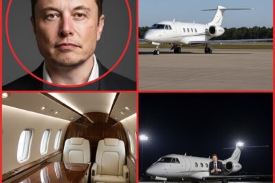 Elon Musk presenta un impresionante avión supersónico de SpaceX, destinado a revolucionar la forma en que la humanidad viaja por el espacio.