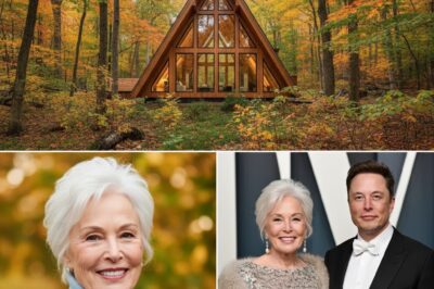 Conmovedor: Musk transforma la modesta casa de su madre en un centro de innovación en lugar de venderla para obtener ganancias.