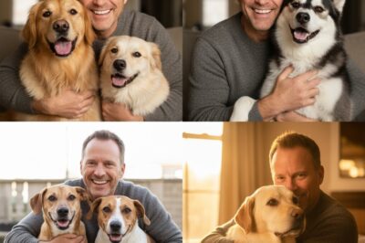 Elon Musk sorprende al mundo al prometer 20 millones de dólares para crear un paraíso de ensueño donde los cachorros abandonados por fin encontrarán amor y un hogar.