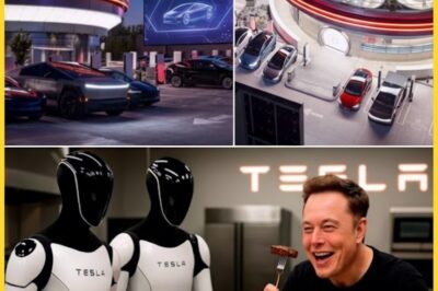 ¡IMPACTANTE!: Elon Musk anuncia el primer restaurante del mundo operado completamente por robots en Washington D.C. — ¿Significa esto el fin de los camareros humanos?