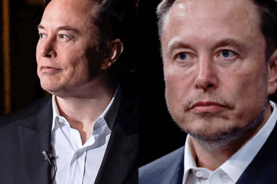 La minicasa Tesla de Elon Musk, de 7999 dólares, se lanza en EE. UU., pero la verdad tras su promesa de “terrenos gratis” desata un intenso debate.