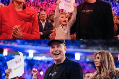 Los vecinos esperaban una mansión, pero Elon Musk tenía en mente algo completamente distinto para la antigua casa de su madre.