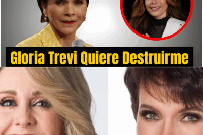 A sus 76 años, Patricia Chavarría, la periodista más influyente y polémica de la televisión hispana, rompe por fin un silencio guardado durante décadas y revela una verdad tan inesperada, tan enigmática y tan profundamente conmocionante que ha dejado al público sin aliento y desatado un huracán de preguntas sobre su verdadera historia