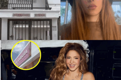 INCREÍBLE: Al regresar a Barranquilla, Colombia, Shakira descubre algo que la dejó paralizada… Durante una misión de ayuda a Colombia tras el súper huracán, Shakira visitó un complejo de viviendas que había sido completamente destruido. Al ver el escenario de su infancia, donde comenzó su carrera, convertido ahora en un montón de escombros, se arrodilló, con las lágrimas ahogando su voz… y dijo una frase que dejó a todos los voluntarios a su alrededor con un nudo en la garganta.