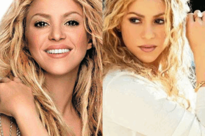 El mundo quedó conmocionado cuando Shakira reveló repentinamente que sufría una extraña enfermedad que le provocaba insomnio, pérdida de peso y la obligó a cancelar una serie de conciertos. La cantante admitió que este fue el período más oscuro de su vida, cuando no sabía si podría seguir cantando o no, mientras que los médicos le advertían que la situación podría empeorar si persistía en su empeño.