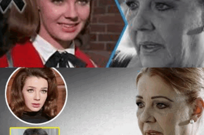 Tras el adiós de Alicia Bonet: Apariciones misteriosas y fenómenos insólitos estremecen el país