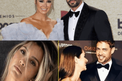 Alejandro Leví: El Anuncio de Boda que Sacudió al Mundo del Espectáculo