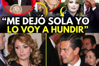 Confesión Que Sacude Al País: Angélica Rivera Rompe El Silencio, Abre Su Corazón Sobre Su Ex Esposo Y Destapa Una Etapa Oculta De Su Vida Que Cambia La Percepción Pública