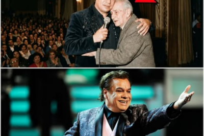 Juan Gabriel DETUVO la Canción a Mitad del Show Cuando vio a un Anciano Siendo Sacado por Seguridad