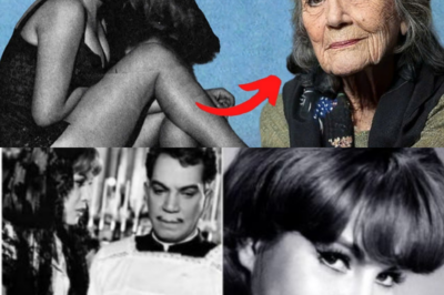 Nadie Estaba Preparado Para Esto: Rosa María Vázquez Confiesa Una Historia De Amor Profunda Y Olvidada, Describe Su Realidad Actual Y Deja Al Público En Shock Por Su Valentía