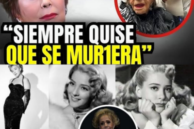 Aclaración urgente: Silvia Pinal NO ha fallecido. Qué pasó realmente y por qué surgió el rumor