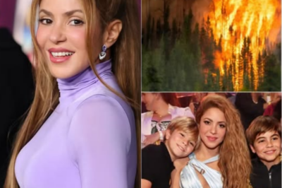 “Incluso el acto más pequeño puede salvar la naturaleza”. Shakira donó 500.000 dólares de su propio dinero a nombre de sus dos hijos, Milan y Sasha, para apoyar los esfuerzos de ayuda por los incendios forestales en Los Ángeles 😱❤️. Este gesto conmovió a todo Estados Unidos — sin patrocinadores, sin cámaras, solo pura compasión. La bondad de Shakira desató una ola de emociones, hizo llorar a la comunidad y recibió sinceros aplausos por su humildía valiente. “Un ángel guardián envuelto en una fuerza silenciosa”.