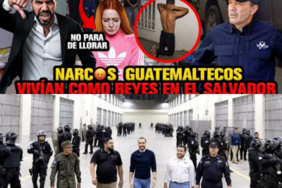 Narcos guatemaltecos vivían como reyes en el salvador ¡Bukele los mandó directo a prisión!
