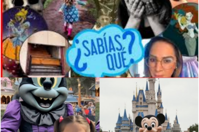 En 1999, una niña se perdió durante una visita familiar a Disneylandia y el caso quedó envuelto en silencio durante años, hasta que trece años después, un indicio inesperado permitió reconstruir la historia desde una perspectiva completamente distinta