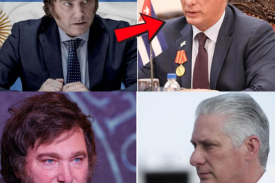 Miguel Díaz-Canel subestimó a Javier Milei… y una RESPUESTA seca cambió la sala