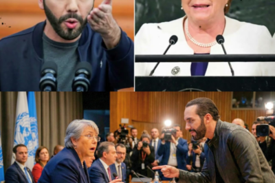 Michelle Bachelet tried to point the finger at Bukele… and he EXPOSED her in front of everyone