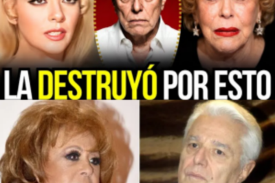 Silvia Pinal: El Hombre que la Golpeó 9 Años Estaba a su Lado cuando Murió