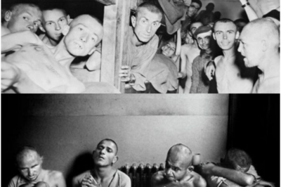 “Un hombre gay encarcelado hizo una propuesta impactante para sobrevivir hasta Navidad, pero la orden inesperada del general alemán cambió todo…”