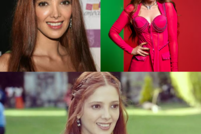 Adela Noriega y el Hijo del Presidente: Las Sombras del Poder que Destruyeron a la Reina de las Telenovelas