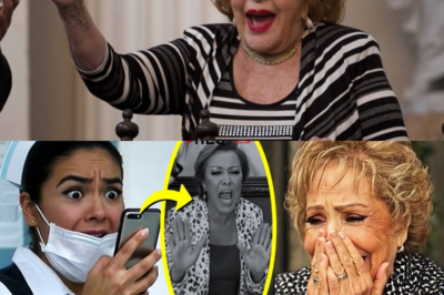 LA ENFERMERA QUE SABÍA DEMASIADO: ¿Por qué la familia Pinal le pagó su silencio?