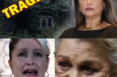 Confirmado: Triste noticia sobre Daniela Romo, hace 5 minutos: sus últimos días fueron desgarradores